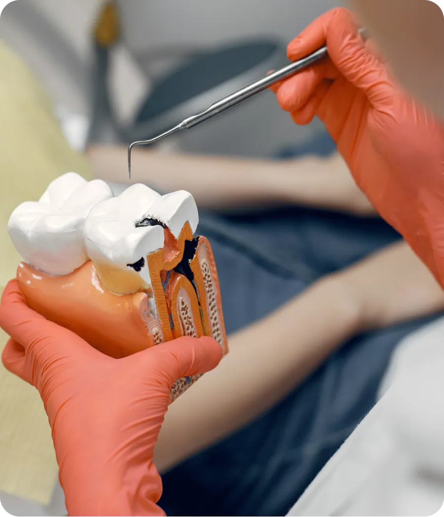 Dentist explaining an implant on a model