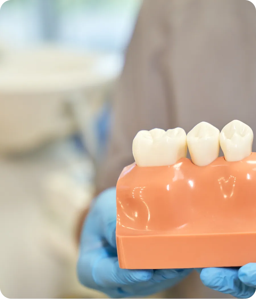 Dentist assessing a gap in a patient's teeth